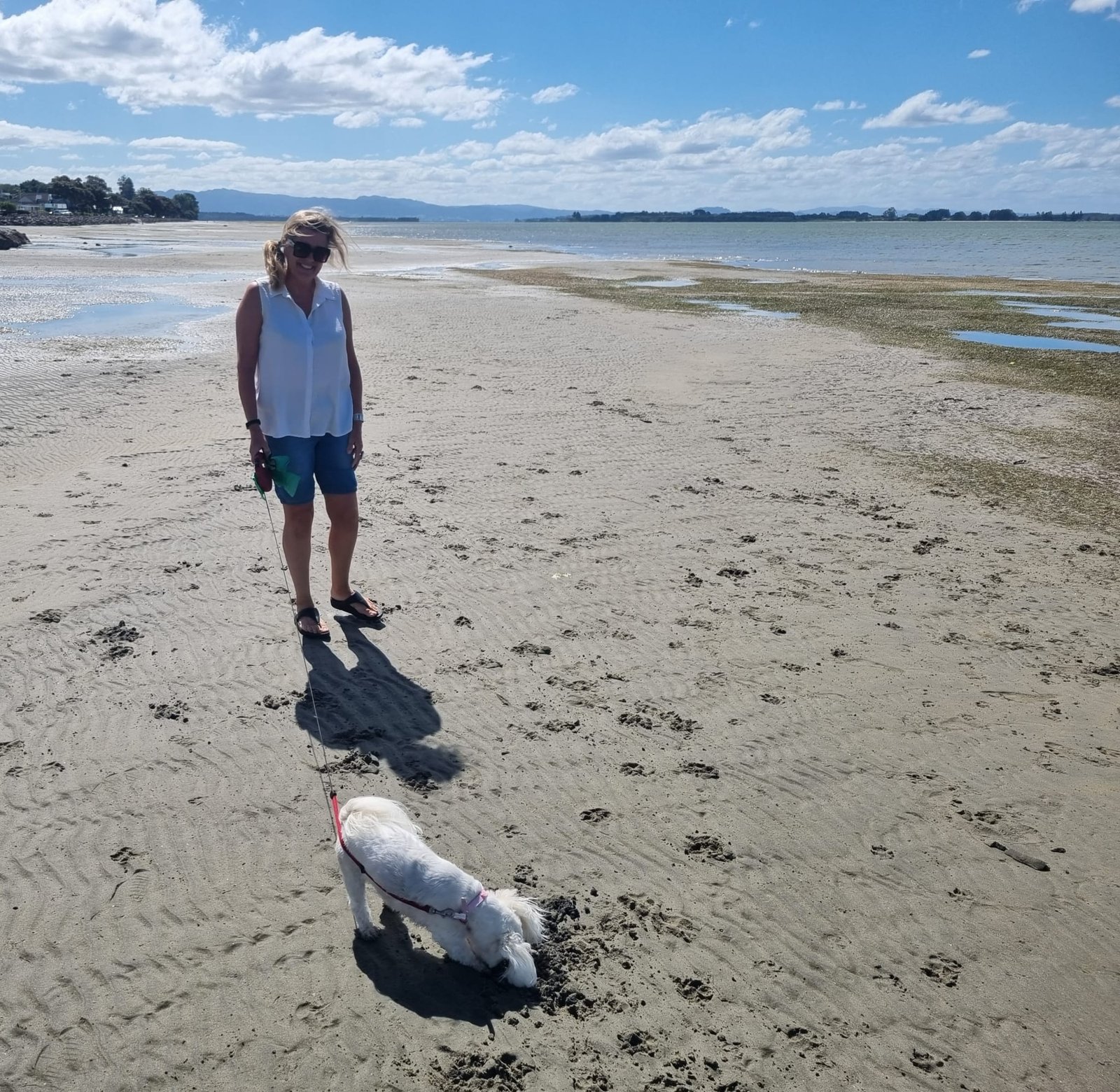 Louise walking a dog through the countryside